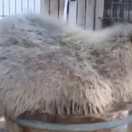 Shifto
