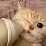 anticlub