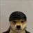 dogwaterkid