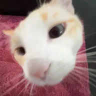 Milanka16