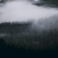 blackeyee