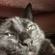 cyki