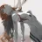 Asukaflip