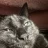 cyki