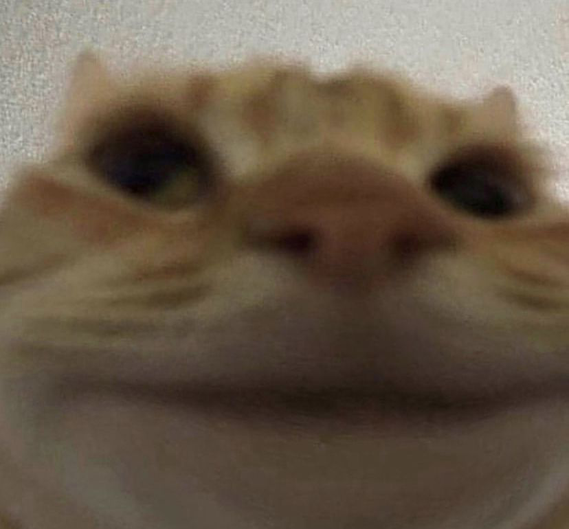 NAVKEF5.png