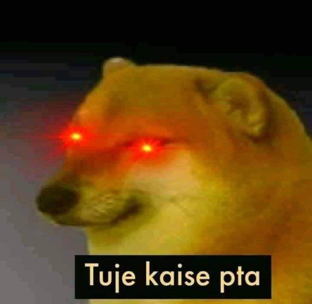 YFLlDqo.jpg