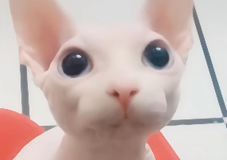755