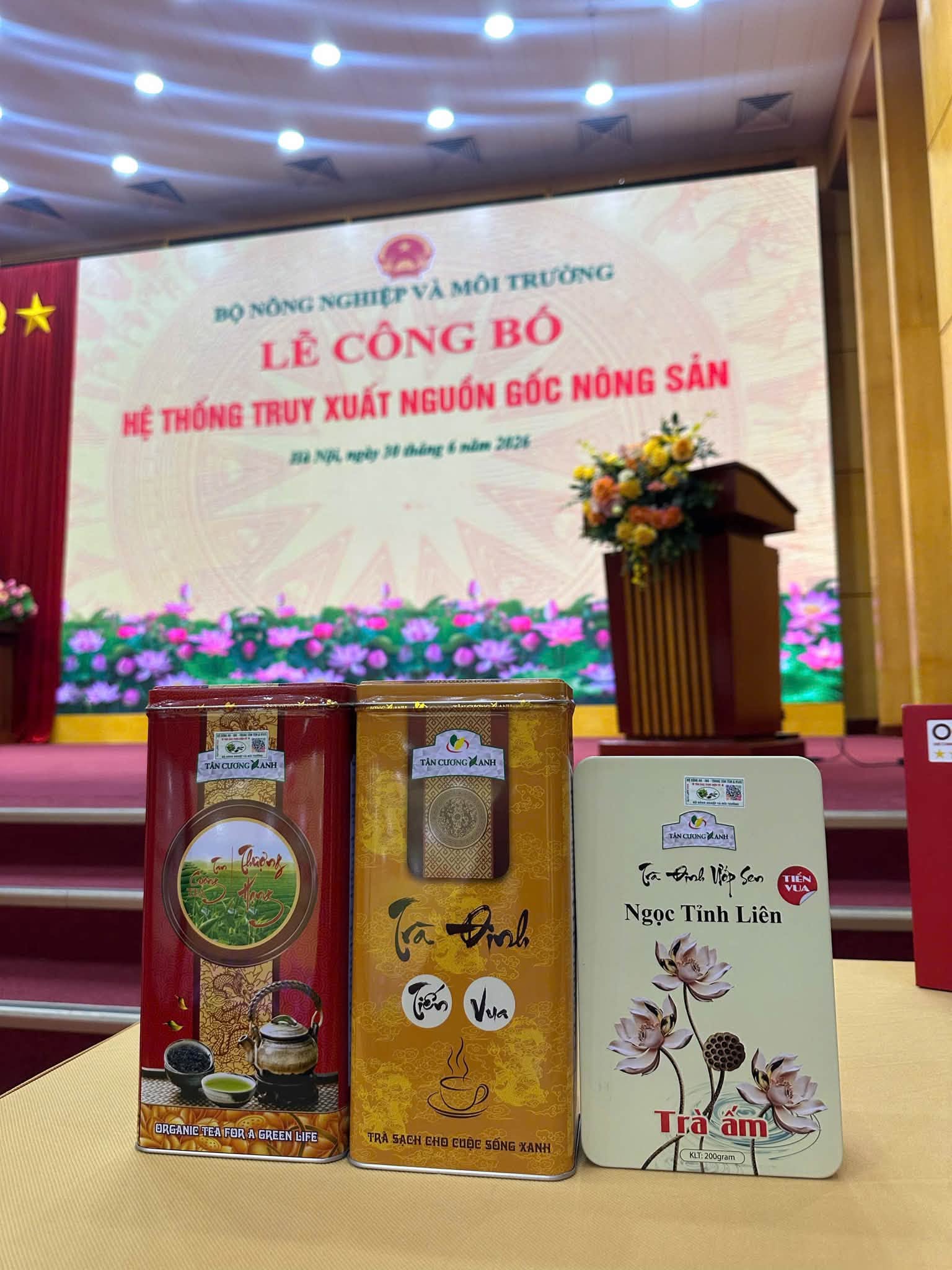 tra_dinh_9.jpg
