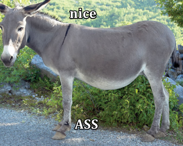 nFmIkIt.png
