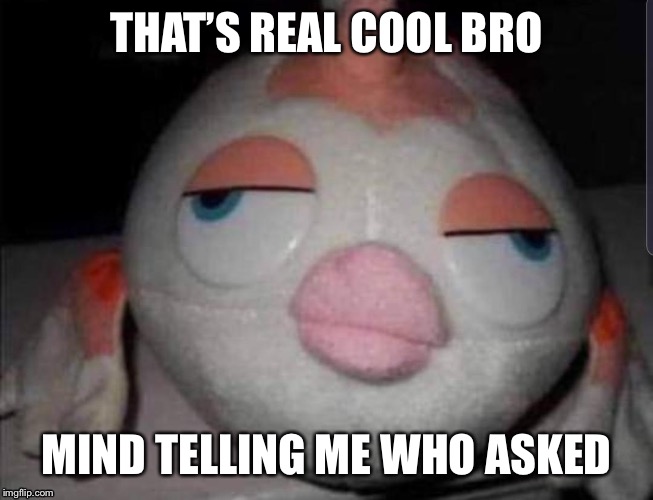 q9yh5s8.jpg