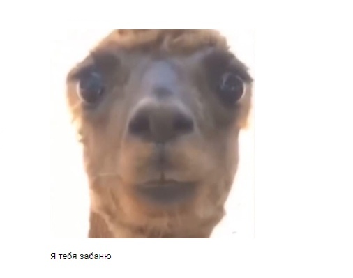 ifkIaJnsHXg.jpg