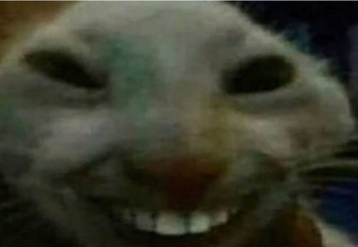 VjIy4cn8LdM.jpg
