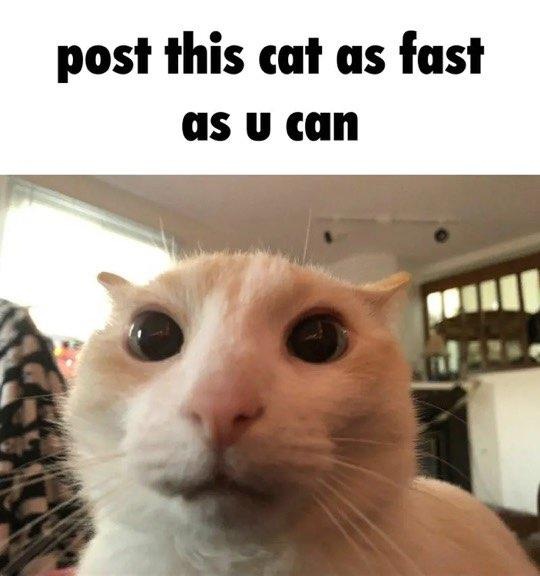 CBnPjdg.jpg