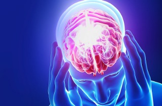5ee3313b57c7b_Brain-Damage.jpg