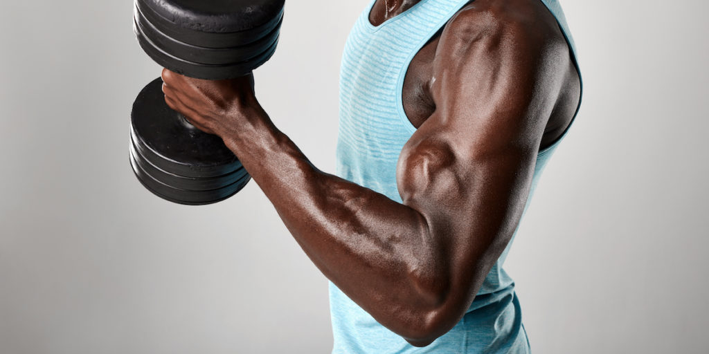 arm-muscles-1024x512.jpg