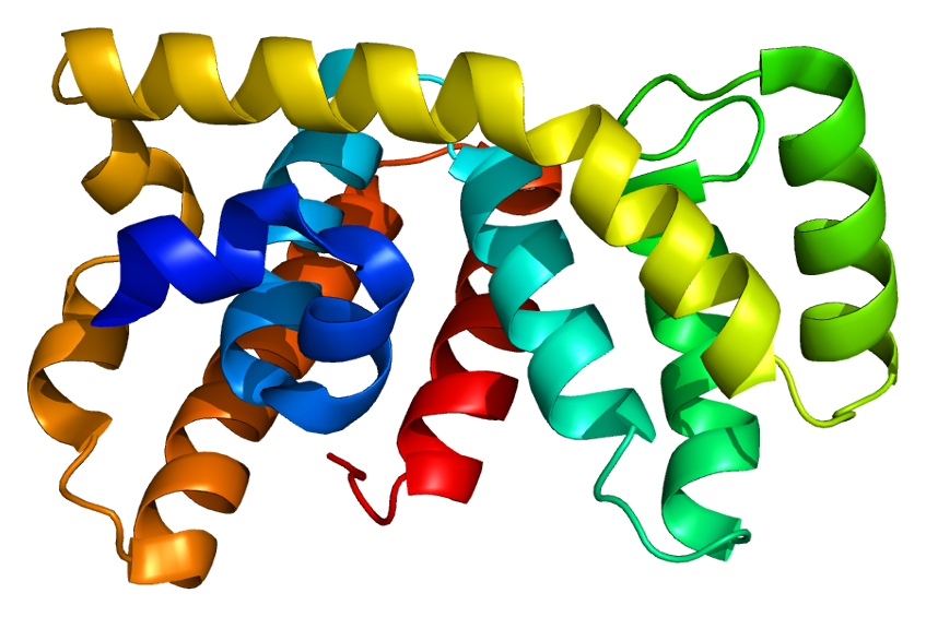 Protein_ARHGEF11_PDB_1htj.png